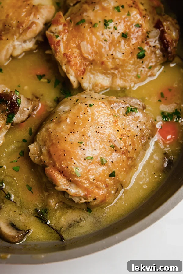 A pan filled with golden-brown chicken fricassee, featuring tender chicken thighs nestled in a rich, creamy sauce with sautéed vegetables like mushrooms, carrots, and celery, garnished with fresh herbs.