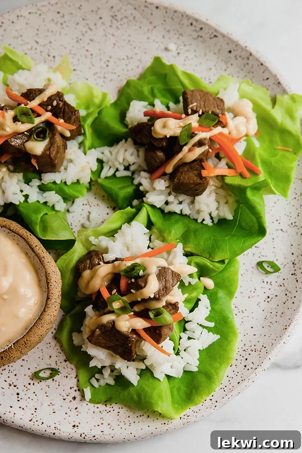 A vibrant plate featuring hibachi steak and rice elegantly presented on crisp lettuce leaves, highlighting a healthy and appealing meal.
