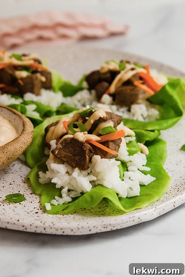 Hibachi steak lettuce wraps on a plate.