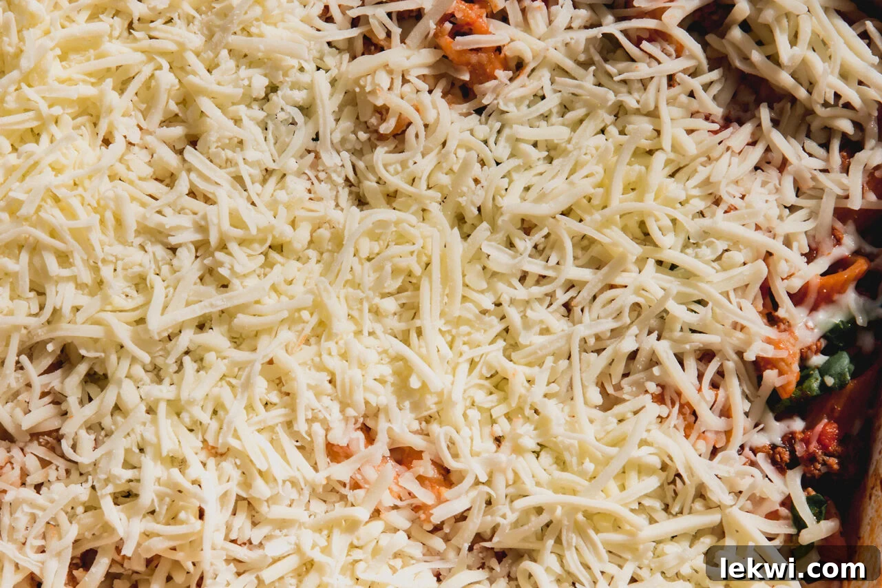 No boil pasta bake topped with a generous layer of uncooked shredded cheese, ready to be melted.
