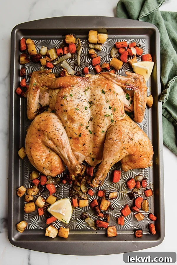 A perfectly cooked spatchcocked chicken surrounded by roasted root vegetables on a sheet pan, garnished with fresh herbs.