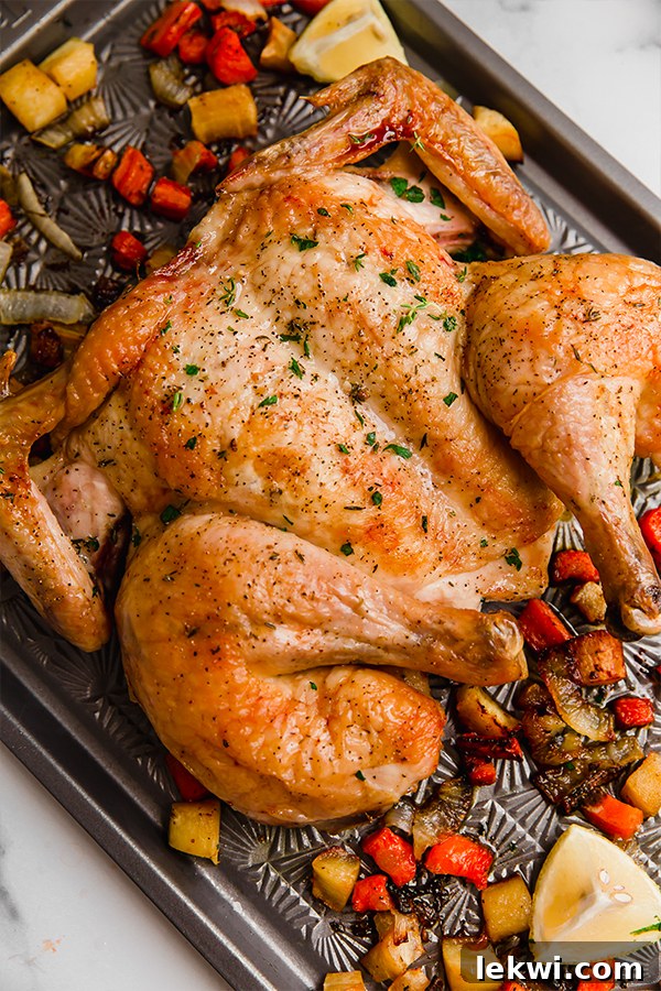 A baking sheet laden with a golden-brown roasted spatchcocked chicken and an assortment of perfectly charred and tender vegetables.