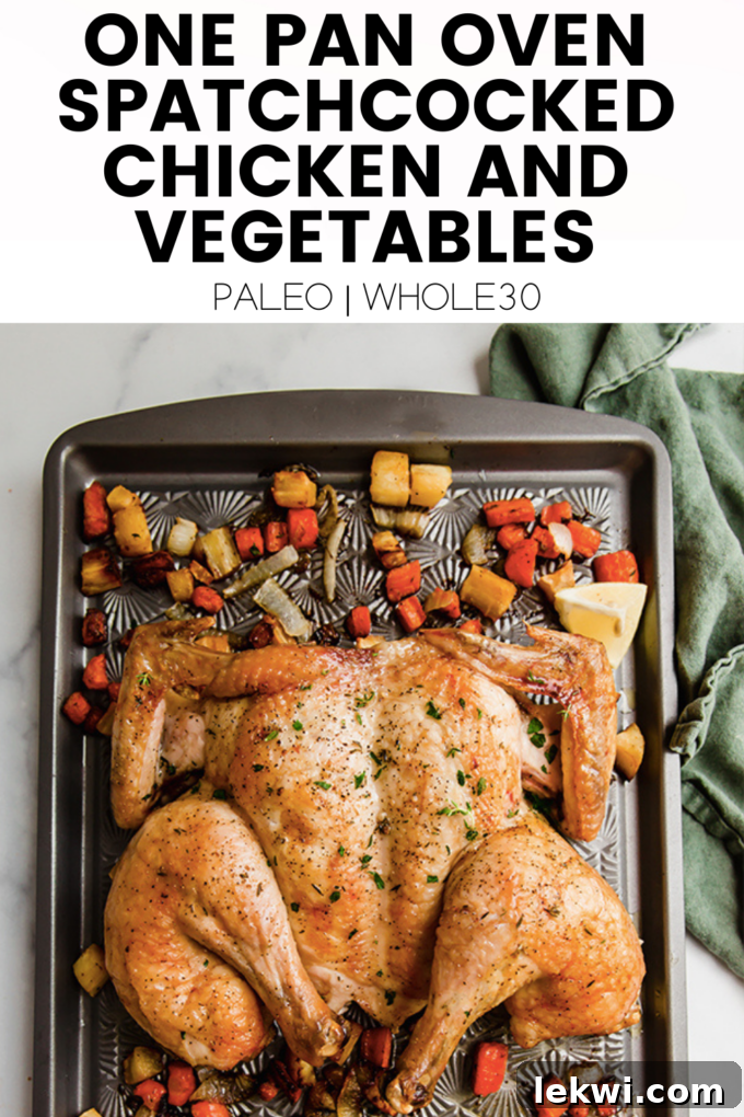 A beautifully composed shot of the finished one-pan chicken and vegetable dish, overlaid with text affirming its Paleo and Whole30 status.