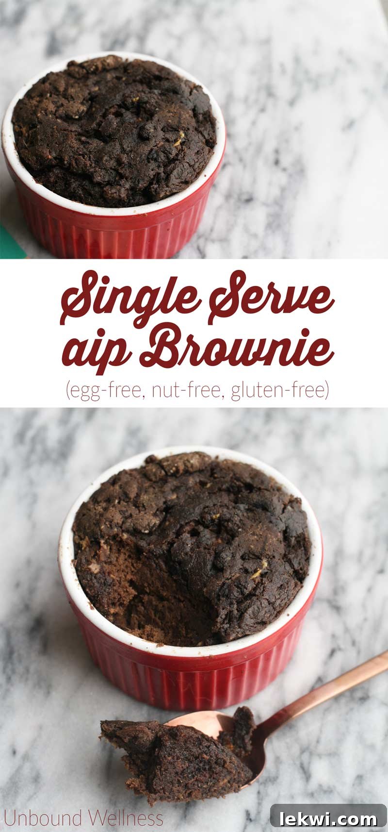 Single Serve AIP Brownie (Egg-free, nut-free, gluten-free) - close up of a baked brownie.