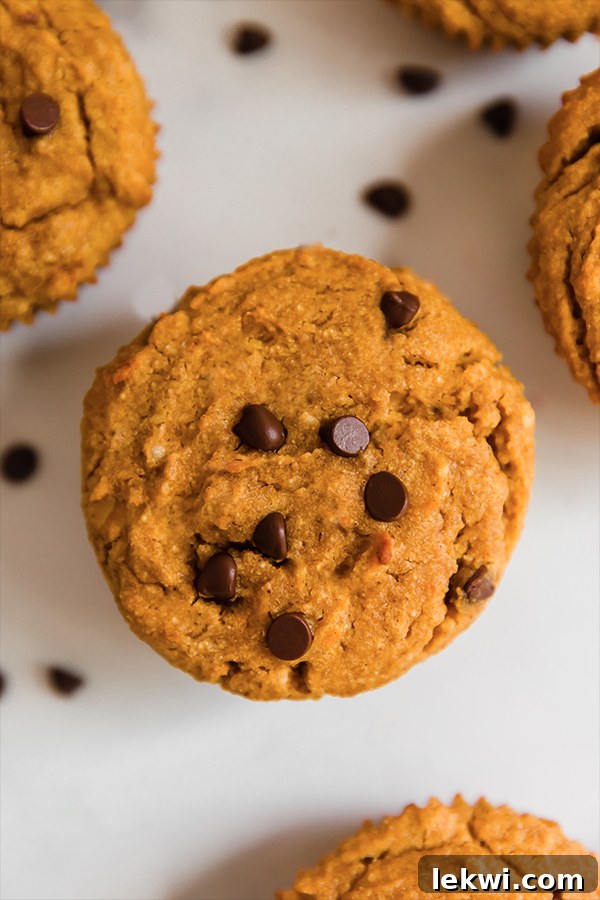 A beautifully baked paleo pumpkin muffin with a scattering of dairy-free chocolate chips on top.