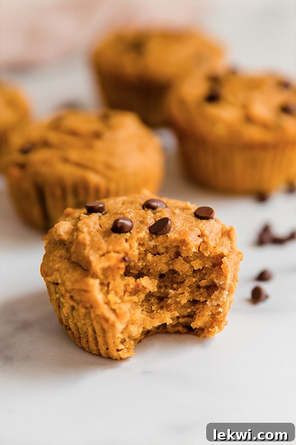 A close-up shot of a paleo pumpkin muffin with a bite taken out, showing its moist, spiced interior.