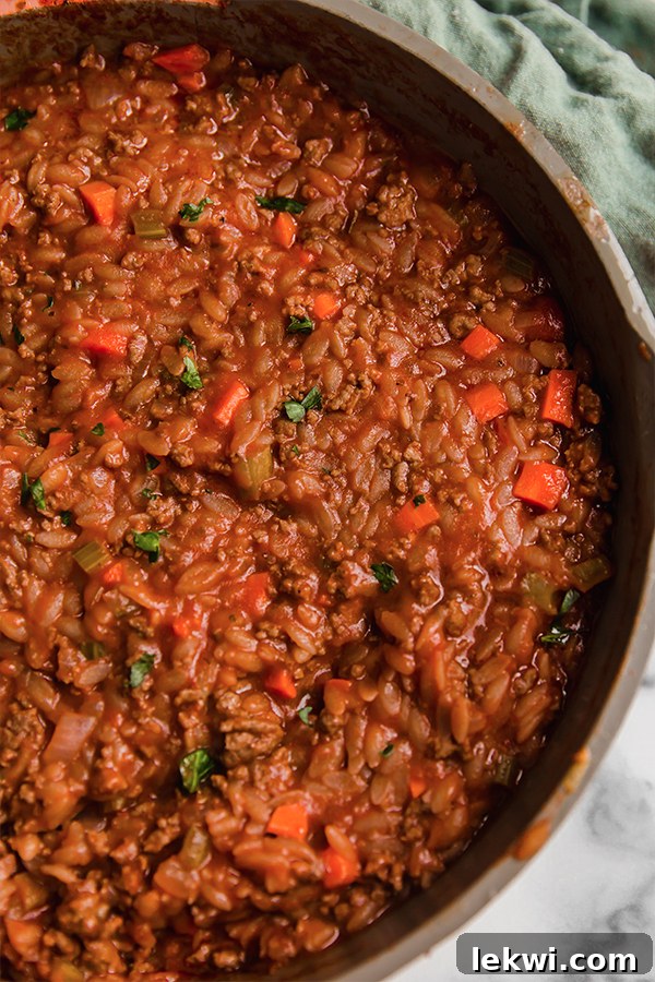A large pot filled with steaming Orzo Bolognese, ready to be served.