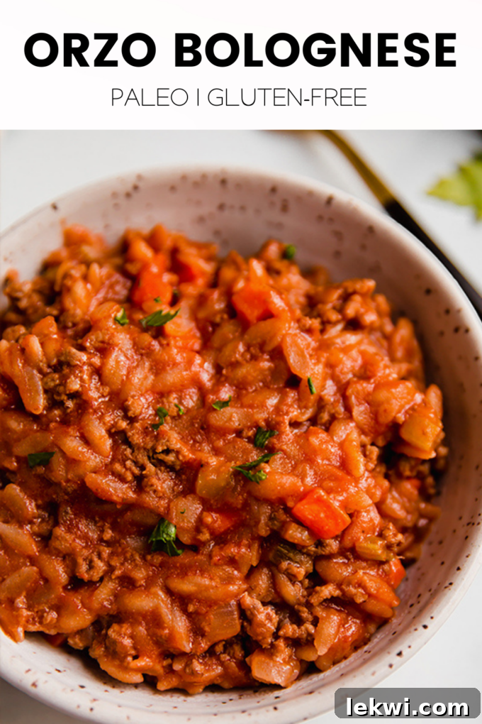 A mouth-watering bowl of Orzo Bolognese with descriptive text "Orzo Bolognese Paleo | Gluten-Free." for visual emphasis.
