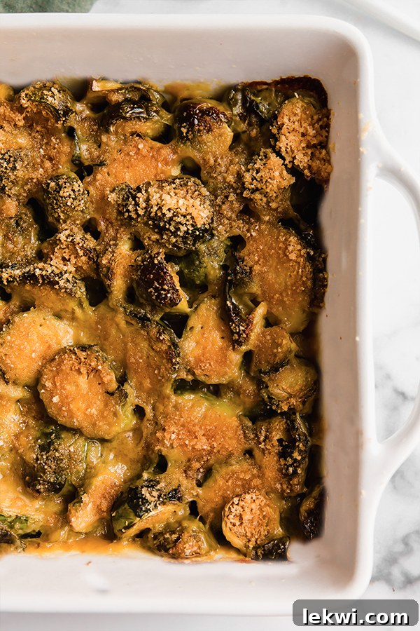 Baking dish of brussels sprouts gratin with crispy topping.