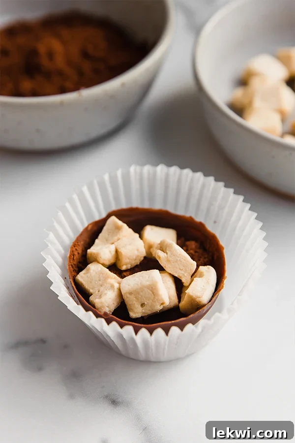 cocoa shells with hot cocoa mix and marshmallows
