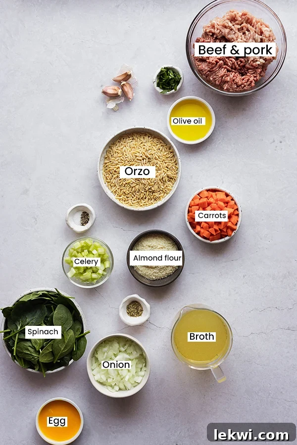 The ingredients for Italian Wedding Soup.