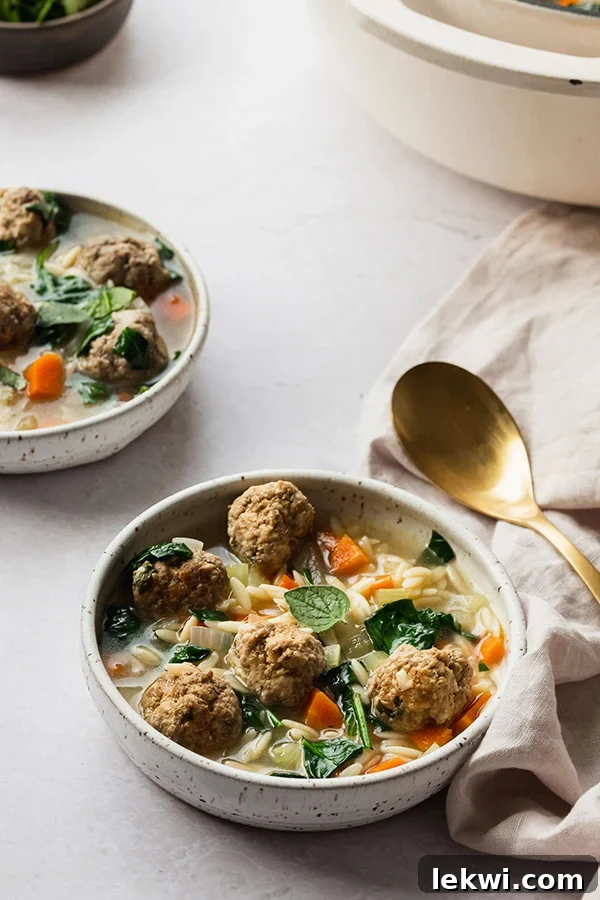 A bowl of Italian wedding soup.