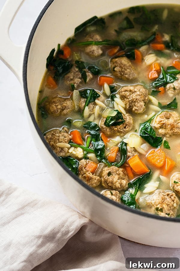 Italian wedding soup in a Dutch oven.