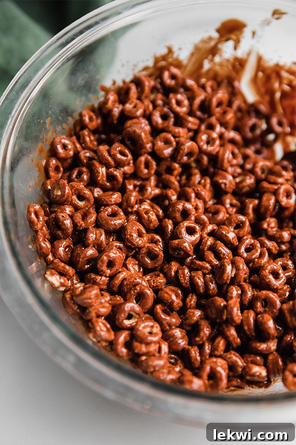 Bowl of chocolate-covered cereal.