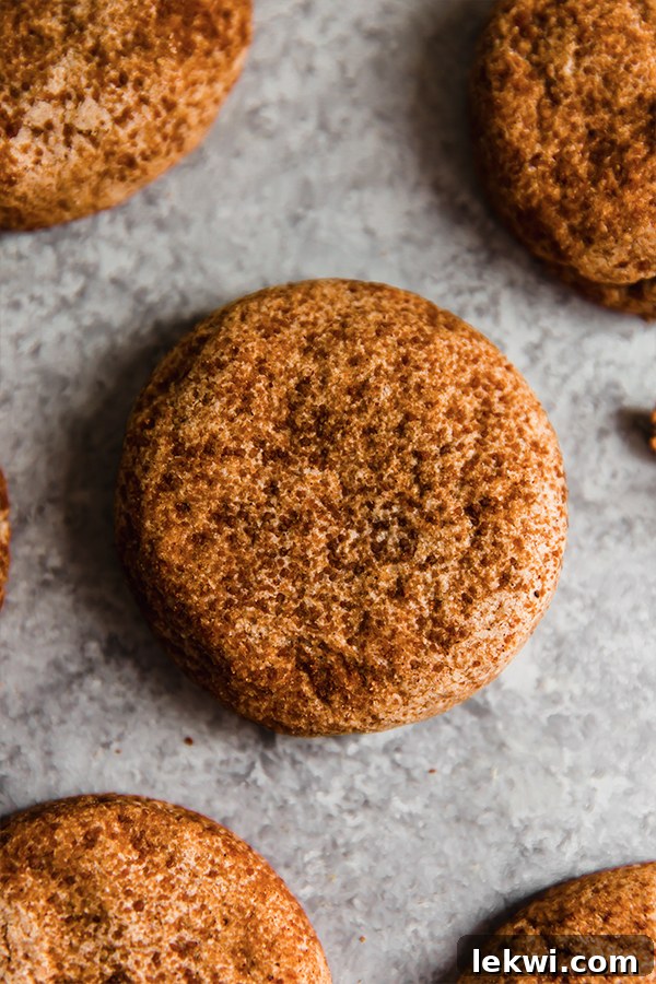 A tray of chai snickerdoodle cookies, freshly baked and lightly dusted with cinnamon sugar, arranged on a baking sheet.