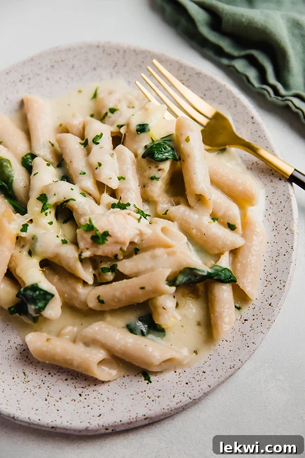 A plate with a serving of chicken alfredo no-boil pasta bake.