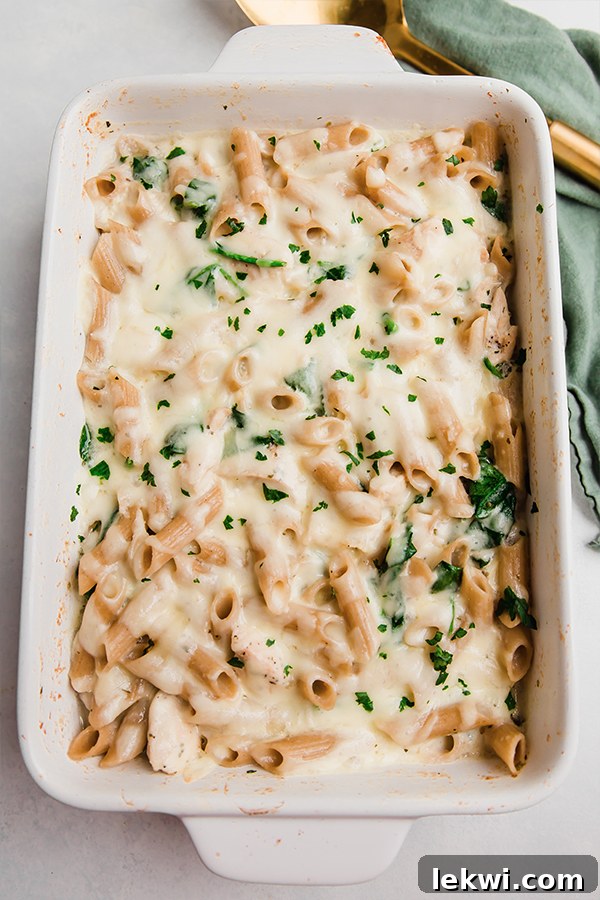 A baking dish of chicken alfredo no-boil pasta bake.