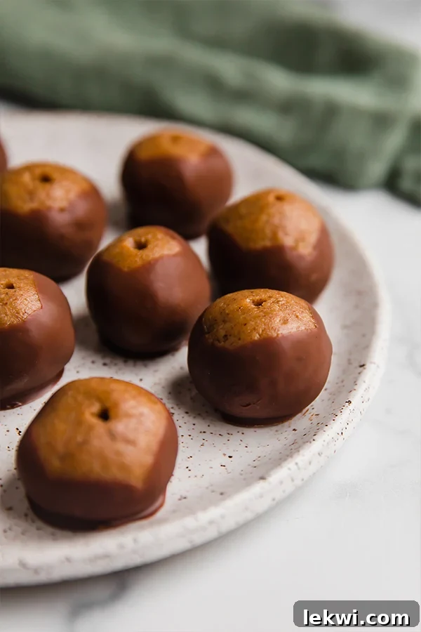 A beautifully arranged plate of dark chocolate-dipped paleo buckeyes, highlighting their rich texture and appealing presentation.
