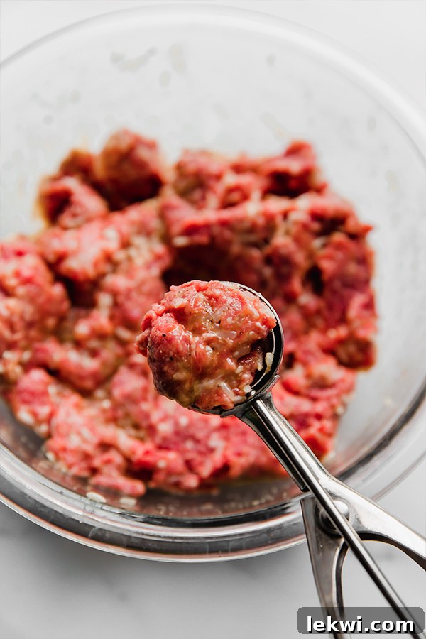 A spoonful of the seasoned meat mixture before forming into meatballs.
