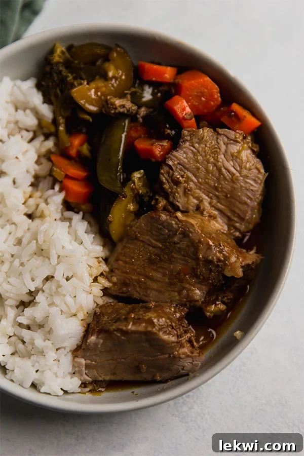 Teriyaki pork tenderloin and vegetables with rice in a dish. A vibrant, healthy meal.
