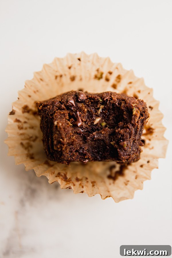 A single, perfectly baked chocolate zucchini muffin, showing its moist interior and scattered chocolate chips.