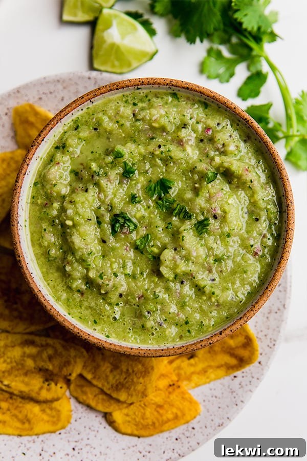 A vibrant bowl of Nightshade-Free Salsa Verde, garnished with fresh cilantro, ready to be enjoyed.
