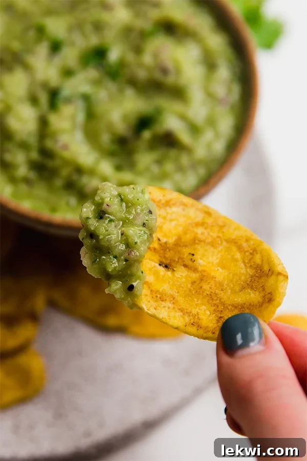 A crisp chip topped with Nightshade-Free Salsa Verde.