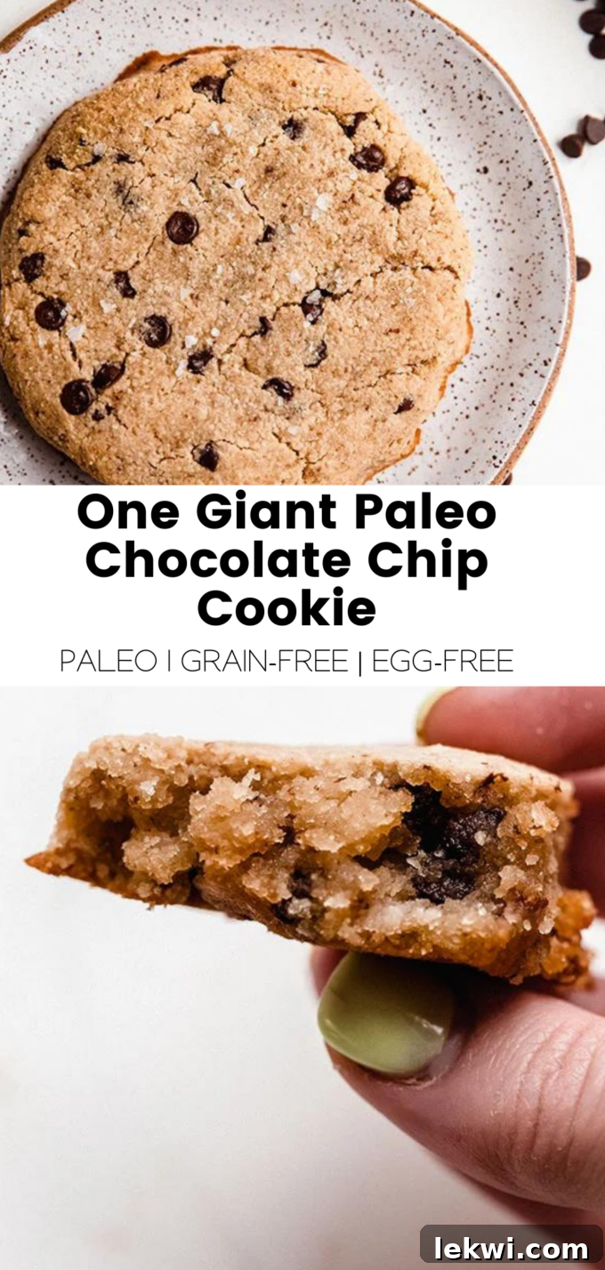 A visual summary collage with text "One Giant Paleo Chocolate Chip Cookie Paleo | Grain-Free | Egg-Free," highlighting the key dietary benefits of the recipe.
