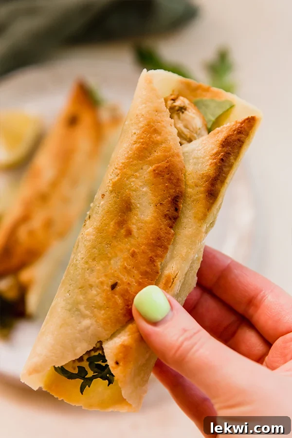 A hand holding a freshly made gluten-free chicken pesto wrap, showcasing its vibrant filling of chicken, pesto, and arugula.