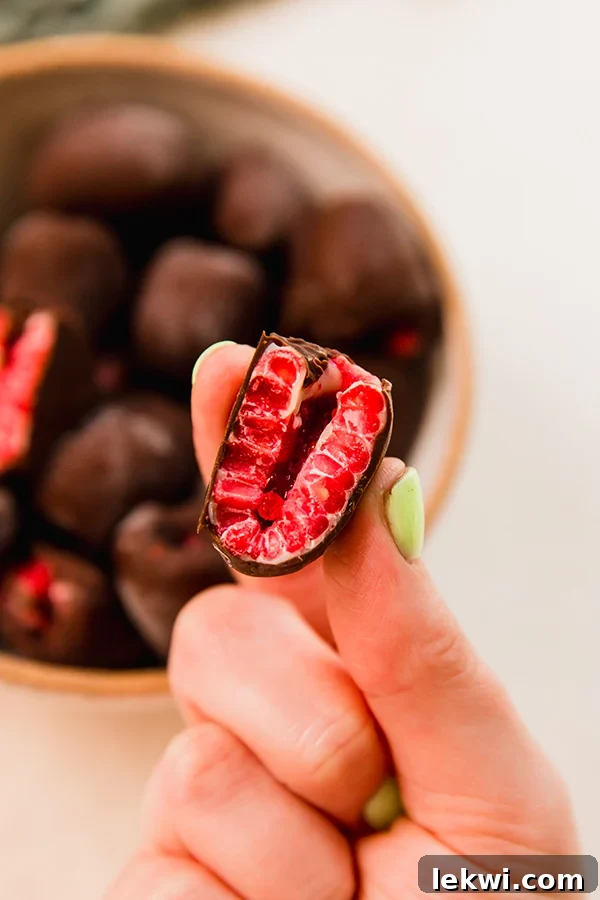 A hand gently holding a single, perfectly layered chocolate covered frozen raspberry, showcasing its appealing dual-chocolate coating and vibrant red core.