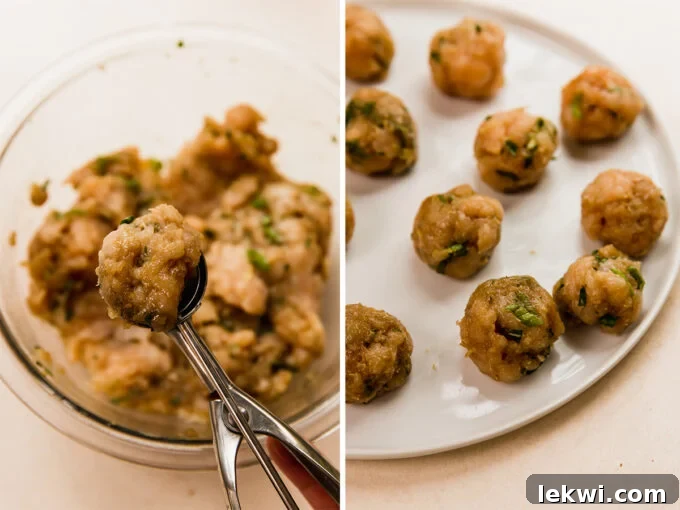 Before and after shaping, showing the raw dumpling filling mixture in a bowl alongside perfectly rolled 1-inch chicken meatballs on a plate, ready for the next step.