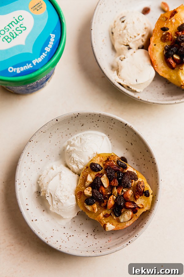 A beautifully presented bowl of air fryer baked apples with melting dairy-free ice cream, garnished with raisins, ready to be enjoyed.