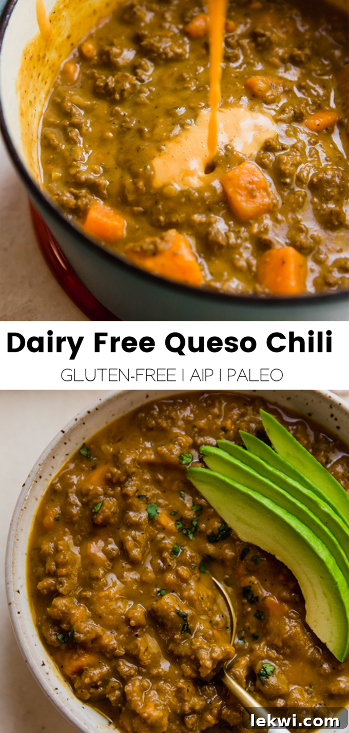 Collage with text \"Dairy Free Queso Chili Gluten-Free | AIP | Paleo.\"