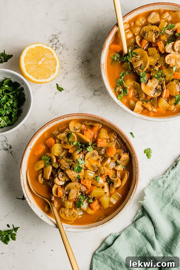 two bowls filled with hungarian mushroom soup.