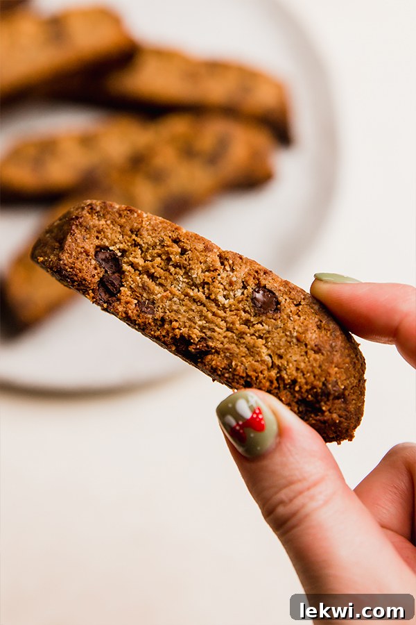 A hand holding a single, perfectly golden-brown gluten-free chocolate chip biscotti, showing its crisp texture.