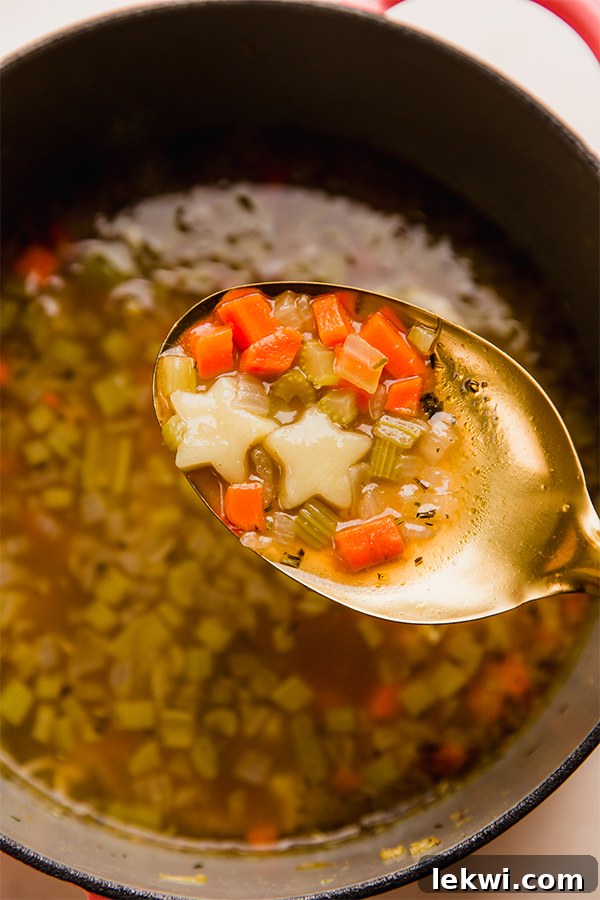 A comforting bowl of gluten-free chicken & stars soup with a spoon resting in it, ready for a delicious meal.