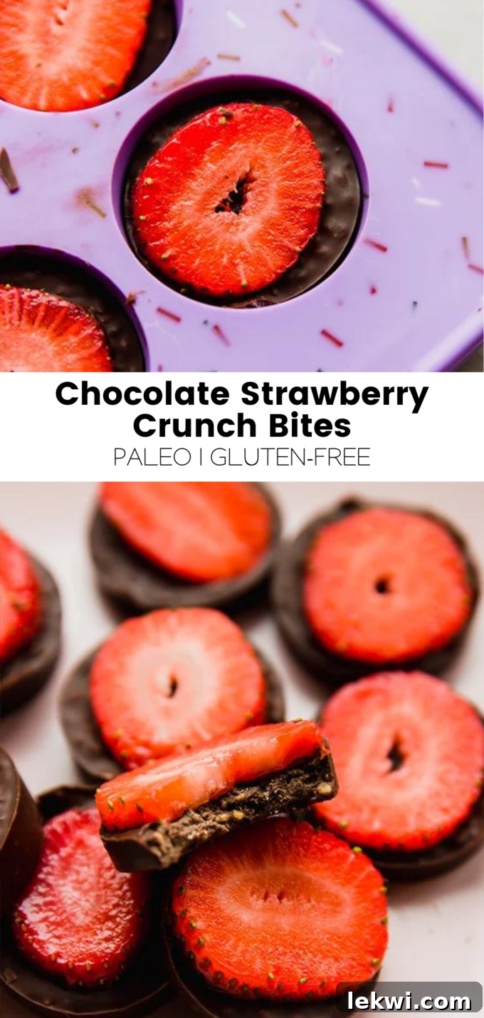 Collage with text \"Chocolate Strawberry Crunch Bites Paleo | Gluten-Free.\"
