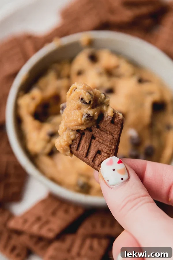 Dairy Free Gluten Free Creamy Cookie Dough Dip 4 A serving bowl filled with creamy chocolate chip cookie dough dip, with a gluten-free graham cracker dipped into it, ready to enjoy.