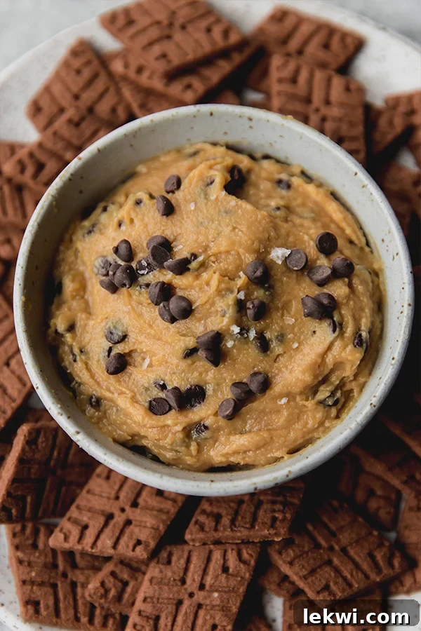 Dairy Free Gluten Free Creamy Cookie Dough Dip 6 A bowl of creamy, gluten-free, dairy-free cookie dough dip with chocolate chips, ready for serving.
