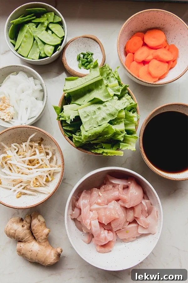 All the fresh ingredients laid out on a kitchen counter, including chicken, various chopped vegetables, and sauce components, ready for making chop suey.