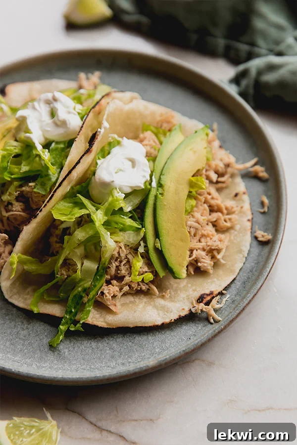 Cool ranch chicken taco on a plate.