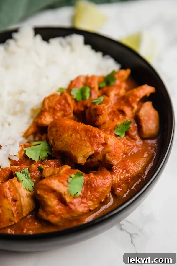 Butter chicken in a dish with rice.