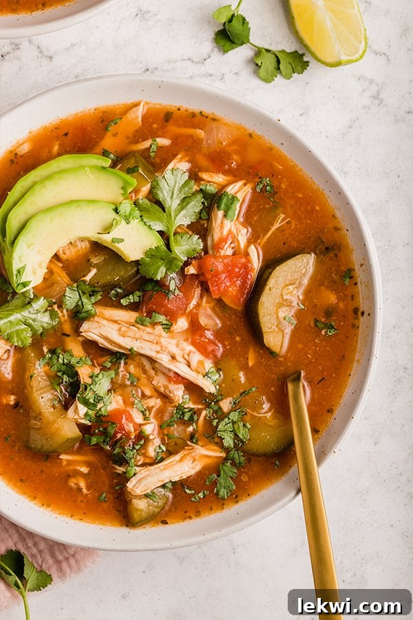Spoon in a bowl of tortilla soup.