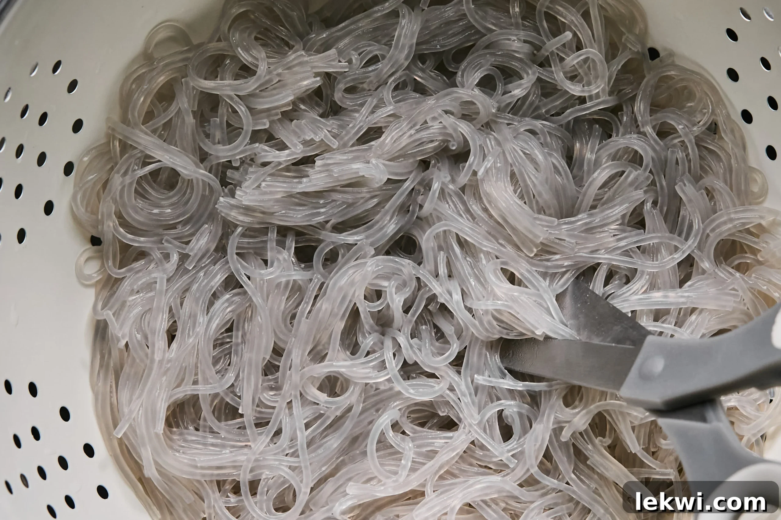 Glass noodles being cut in half with kitchen scissors inside a colander, after being softened by soaking.