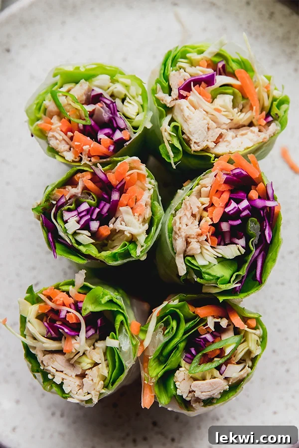 Colorful chicken and vegetable summer rolls, neatly arranged on a platter with fresh herbs.