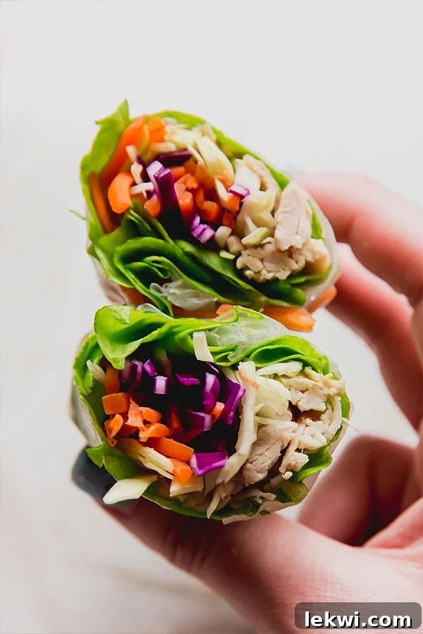 A hand holding a perfectly rolled chicken and vegetable summer roll, cut in half to show the fresh, colorful fillings and delicate rice paper.
