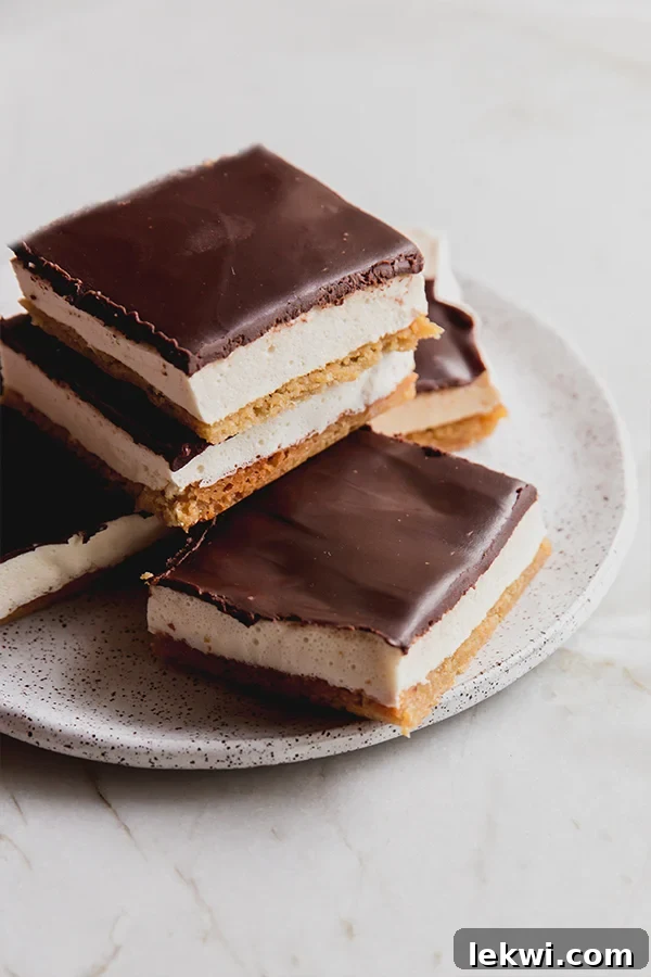 A stunning plate of gluten-free s'mores bars, showcasing the distinct layers of crust, marshmallow, and chocolate ganache.