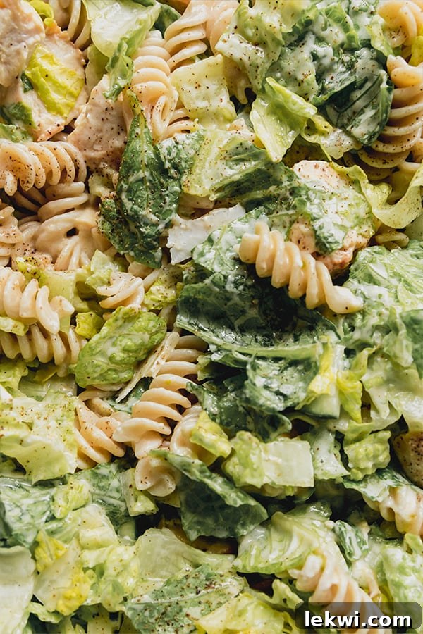 Chicken Caesar pasta salad with dressing.