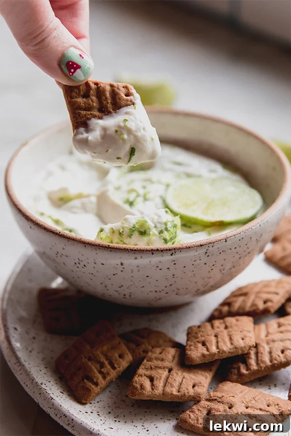 A delicious gluten-free graham cracker being dipped into a smooth bowl of key lime pie dip, showing the creamy texture and inviting taste of this dairy-free dessert.