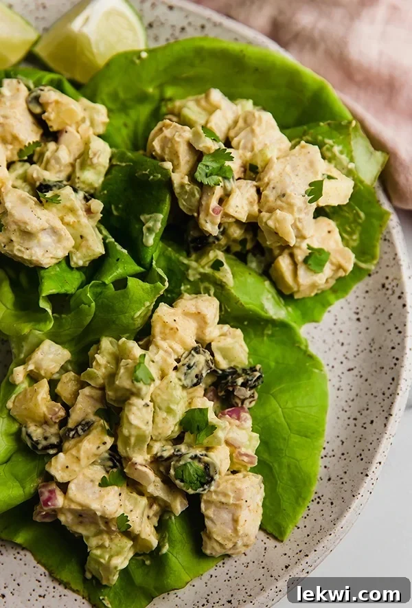 Yogurt curry chicken salad served over fresh lettuce leaves.